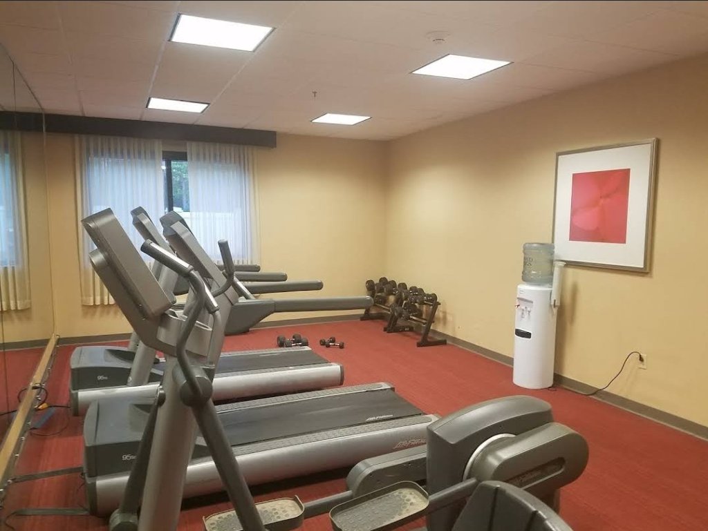 Small hotel gym with two treadmills and a weight set